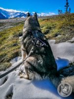 11IMG_20240925_103849-Kopie