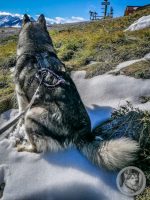 12IMG_20240925_103853-Kopie