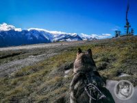 13IMG_20240925_103901-Kopie