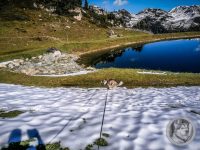 29IMG_20240925_105615-Kopie