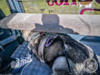 2IMG_20240925_101744-Kopie