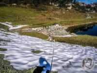 31IMG_20240925_105616_1-Kopie