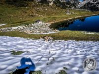 33IMG_20240925_105617_1-Kopie