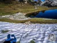 34IMG_20240925_105618-Kopie