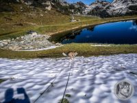 35IMG_20240925_105618_1-Kopie