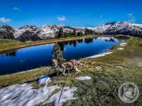 37IMG_20240925_105627_1-Kopie