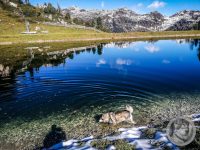 38IMG_20240925_105701-Kopie