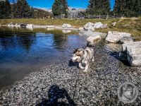 44IMG_20240925_110143-Kopie