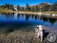 46IMG_20240925_110243-Kopie