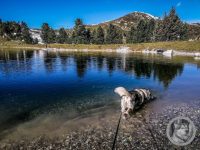 47IMG_20240925_110244-Kopie