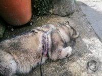 51IMG_20240925_134516-Kopie