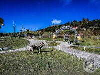 8IMG_20240925_103226-Kopie