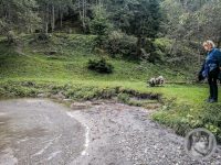 12IMG_20240926_104802-Kopie