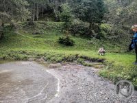 13IMG_20240926_104802_1-Kopie