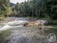 15IMG_20240926_104819-Kopie