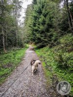 16IMG_20240926_110620-Kopie