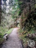 17IMG_20240926_111011-Kopie