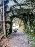 19IMG_20240926_111030-Kopie