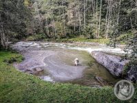 1IMG_20240926_104650-Kopie