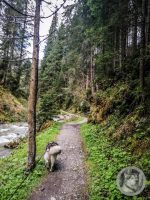 20IMG_20240926_111048-Kopie