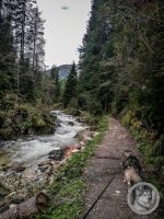 22IMG_20240926_111113-Kopie