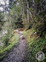 23IMG_20240926_111232-Kopie