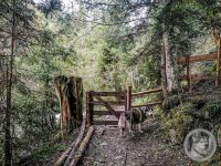 29IMG_20240926_111309-Kopie