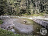 2IMG_20240926_104655-Kopie