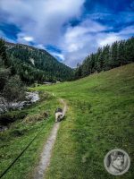 30IMG_20240926_111539-Kopie