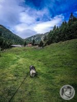 31IMG_20240926_111759-Kopie