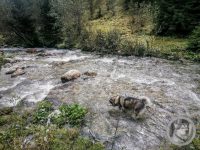 33IMG_20240926_123515-Kopie