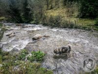 34IMG_20240926_123515_1-Kopie