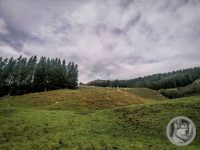 36IMG_20240926_123526-Kopie