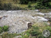 37IMG_20240926_123539-Kopie