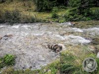 38IMG_20240926_123540-Kopie