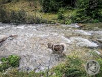 39IMG_20240926_123541-Kopie