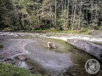 3IMG_20240926_104656-Kopie