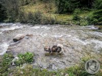 40IMG_20240926_123544-Kopie