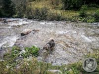 41IMG_20240926_123546-Kopie