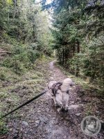 42IMG_20240926_123907-Kopie