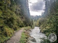 43IMG_20240926_124133-Kopie