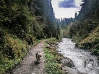 44IMG_20240926_124137-Kopie