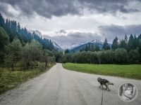 45IMG_20240926_125127-Kopie