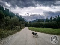 46IMG_20240926_125131-Kopie