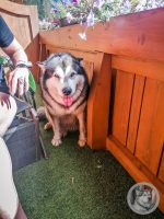 48IMG_20240926_133927-Kopie