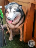 49IMG_20240926_133933-Kopie