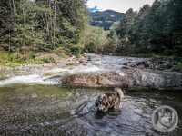 4IMG_20240926_104711-Kopie