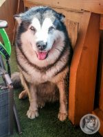 50IMG_20240926_133935-Kopie