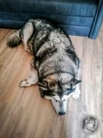 52IMG_20240926_140506-Kopie