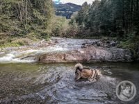 5IMG_20240926_104712-Kopie